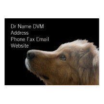 Tarjeta de visita del veterinario II
