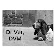 Tarjeta de visita del veterinario III