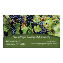 Tarjeta de visita del viñedo de las uvas rojas