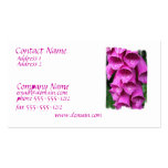Tarjeta de visita floreciente del Foxglove de las 