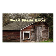Tarjeta de visita fresca de los huevos