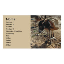 Tarjeta de visita marroquí de la mula