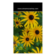 Tarjeta de visita observada negro de la flor de Su