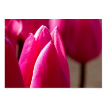 Tarjeta de visita rosada del tulipán