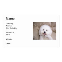 Tarjeta de visita sonriente de Bichon Frise