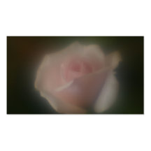 Tarjeta de visita subió rosa suave hermoso de la l