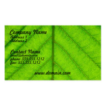 Tarjeta de visita verde de la hoja