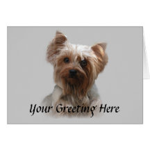 Tarjeta de Yorkshire Terrier