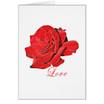 Tarjeta del amor del rosa rojo