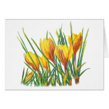 Tarjeta del azafrán de la primavera de PMACarlson