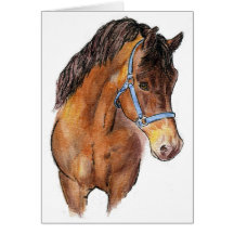 Tarjeta del caballo de Morgan