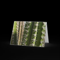 Tarjeta del cactus de barril tarjetas
