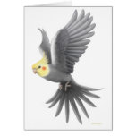 Tarjeta del Cockatiel del vuelo