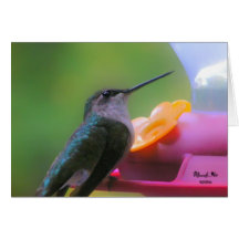 Tarjeta del colibrí