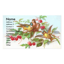 Tarjeta del comercio del Victorian de los pájaros  Tarjeta De Visita