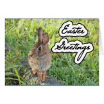 Tarjeta del conejito del jardín de Pascua