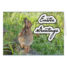Tarjeta del conejito del jardín de Pascua