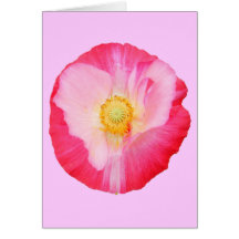 Tarjeta del ~ de la amapola 90