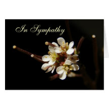 Tarjeta del ~ de la condolencia del Wildflower