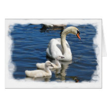 Tarjeta del ~ de la familia del cisne