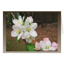 Tarjeta del ~ de los flores de Apple