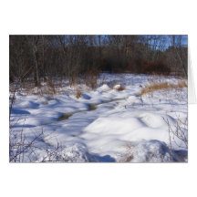 Tarjeta del ~ del arroyo Nevado