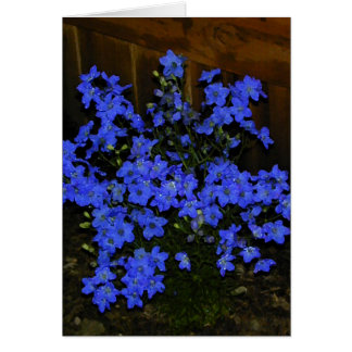 Tarjeta del Delphinium
