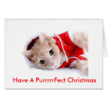 Tarjeta del día de fiesta del gato