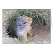 Tarjeta del día de Groundhogs