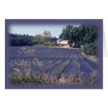 Tarjeta del día de madre - campos de la lavanda