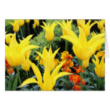 Tarjeta del día de madre del jardín del tulipán