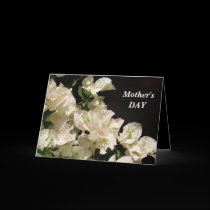 Tarjeta del DÍA de madre - flores blancas del Boug tarjetas