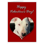 Tarjeta del día de San Valentín de bull terrier de