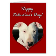 Tarjeta del día de San Valentín de bull terrier de