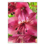 Tarjeta del día de San Valentín del Alstroemeria