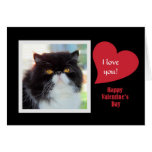 Tarjeta del día de San Valentín del gato persa te 