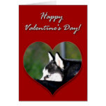 Tarjeta del día de San Valentín del husky siberian