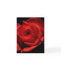 Tarjeta del día de tarjeta del día de San Valentín tarjetas