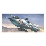 Tarjeta del estante de Rocket de la plancha de cal Tarjeta Publicitaria