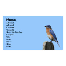Tarjeta del este del perfil del Bluebird Plantillas De Tarjetas De Visita