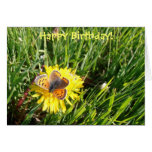 Tarjeta del "feliz cumpleaños" de la mariposa del 