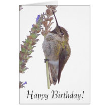 Tarjeta del feliz cumpleaños del colibrí