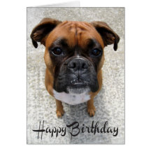 Tarjeta del feliz cumpleaños del perro de perrito 