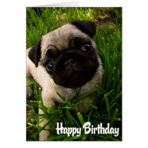 Tarjeta del feliz cumpleaños del perro de perrito 