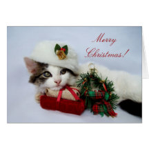 Tarjeta del gatito del navidad