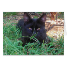 Tarjeta del gatito del negro de la pizarra del beb