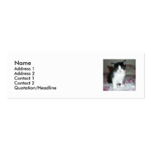 Tarjeta del gatito tarjetas de visita