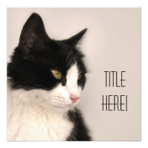 Tarjeta del gato anuncios  