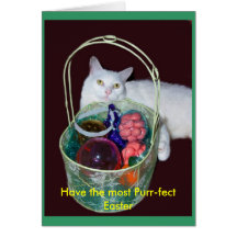 Tarjeta del gato de Pascua