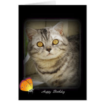 Tarjeta del gato del cumpleaños